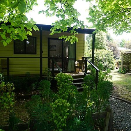 Ivy'S Cottage Greytown Eksteriør bilde
